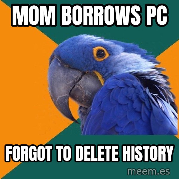 Paranoid Parrot meme: mom borrows pc / forgot to delete history