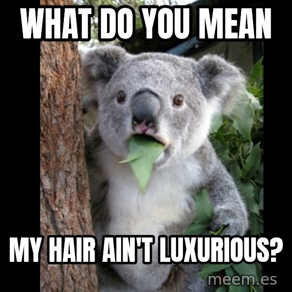 Koala can't believe it meme: what do you mean / my hair ain't luxurious?
