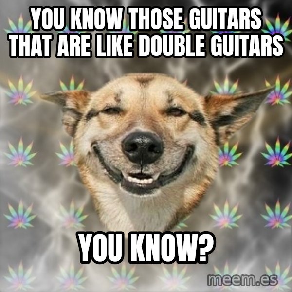Stoner Dog meme: you know those guitars that are like double guitars / you know?