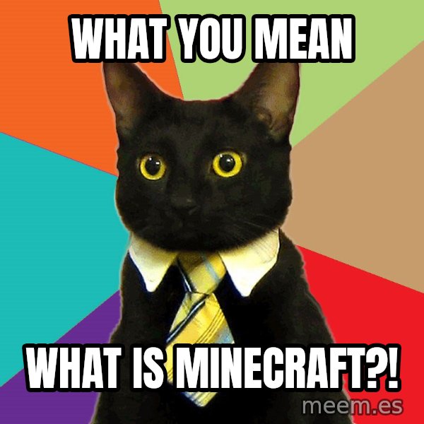 Business Cat meme: what you mean / what is minecraft?!