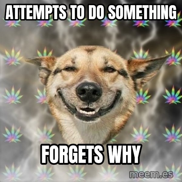 Stoner Dog meme: Attempts to do something / FORGETS WHY