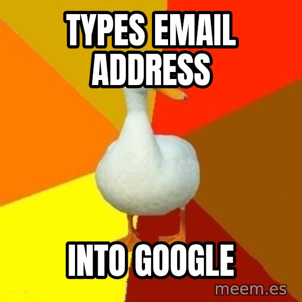 Technologically Impaired Duck meme: TYPES EMAIL ADDRESS / INTO GOOGLE