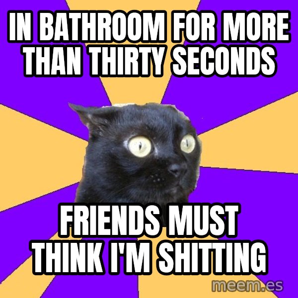 Anxiety Cat meme: in bathroom for more than thirty seconds / friends must think i'm shitting
