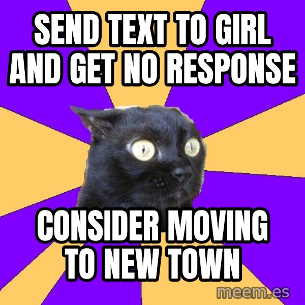 Anxiety Cat meme: Send text to girl and get no response / consider moving to new town