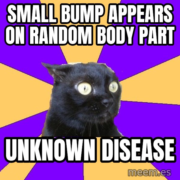Anxiety Cat meme: small bump appears on random body part / unknown disease