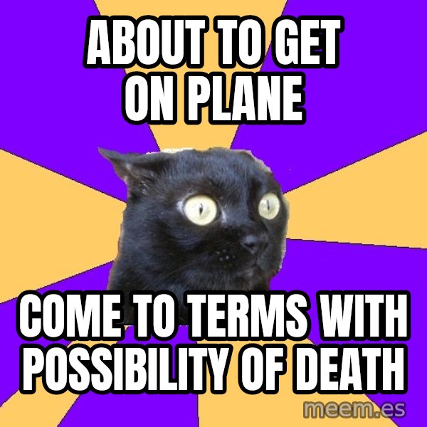 Anxiety Cat meme: about to get on plane / come to terms with possibility of death