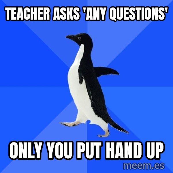 Socially Awkward Penguin meme: TEacher asks 'any questions' / only you put hand up