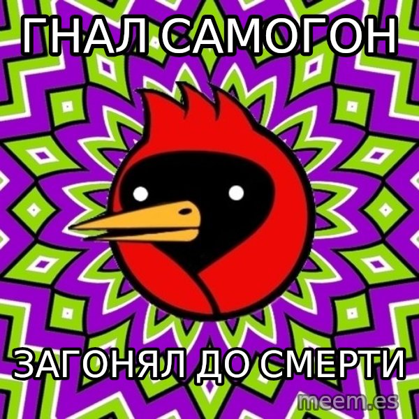 Omsk Crow meme: Гнал самогон / Загонял до смерти