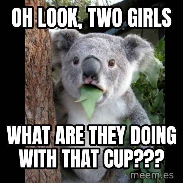 Koala can't believe it meme: Oh look, Two Girls / What ARE THEY DOING WITH THAT CUP???