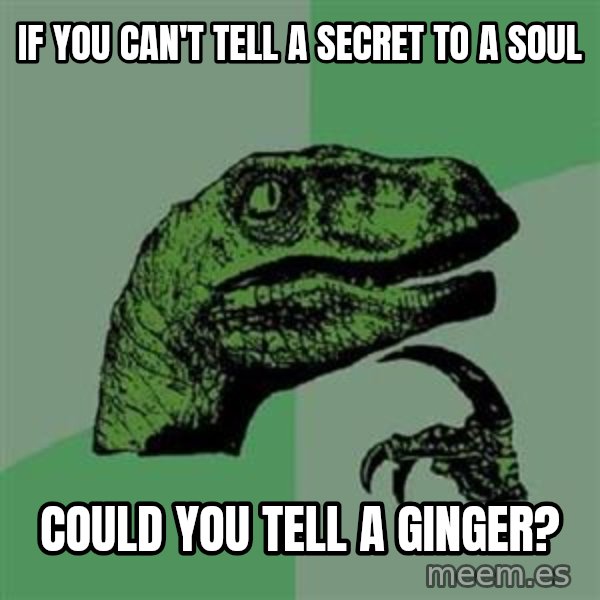 Philosoraptor meme: if you can't tell a secret to a soul / could you tell a ginger?