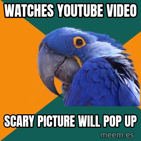 Paranoid Parrot meme: watches youtube video / scary picture will pop up