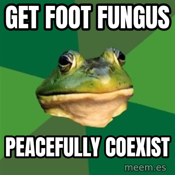 Foul Bachelor Frog meme: get foot fungus / peacefully coexist