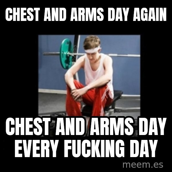 Annoying Gym Newbie meme: chest and arms day again / chest and arms day every fucking day