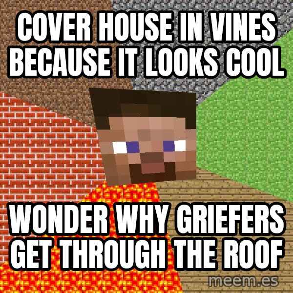 Minecraft Guy meme: Cover house in vines because it looks cool / Wonder why griefers get through the roof