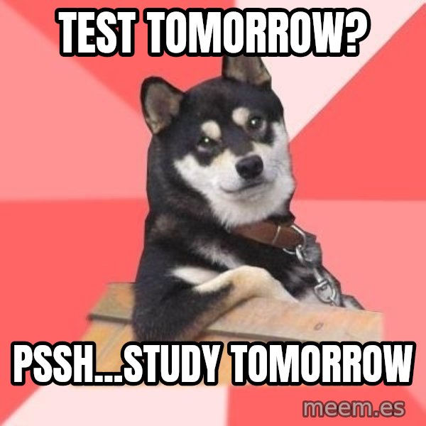 Cool Dog meme: TEST TOMORROW? / PSSH...STUDY TOMORROW