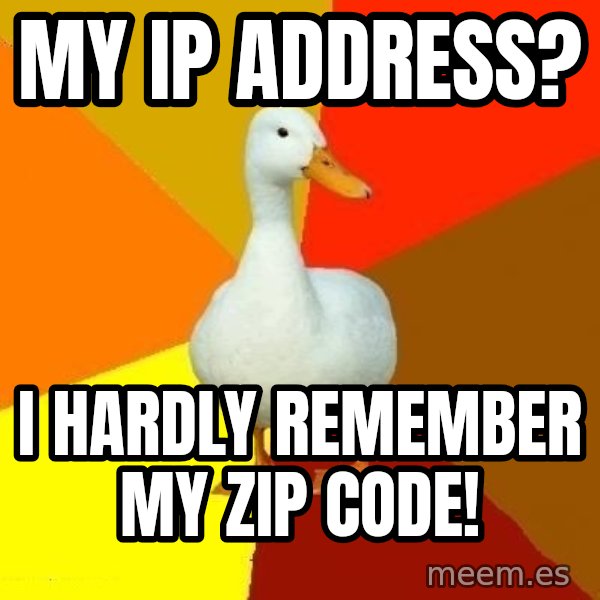 Technologically Impaired Duck meme: MY IP Address? / i hardly remember my zip code!