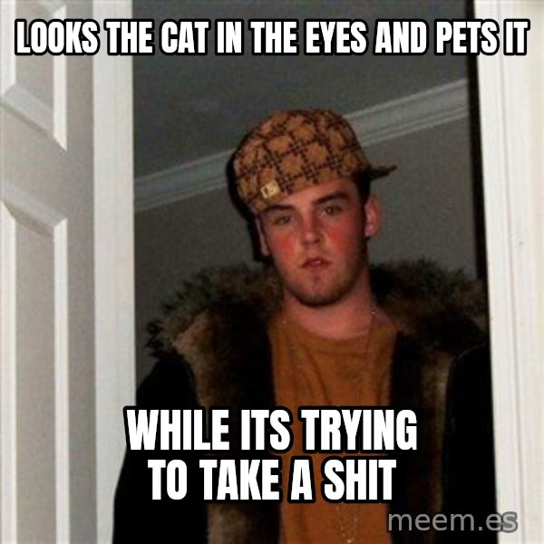 Scumbag Steve meme: LOOKS THE CAT IN THE EYES AND PETS IT / WHILE ITS TRYING TO TAKE A SHIT