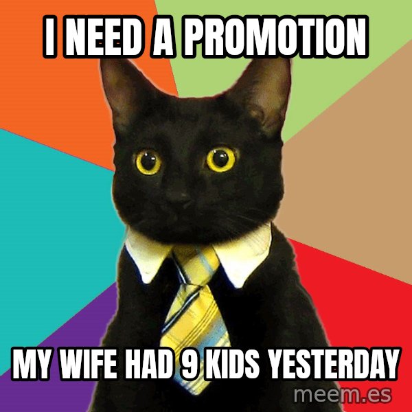 Business Cat meme: I need a promotion / my wife had 9 kids yesterday