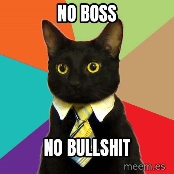 Business Cat meme: No boss / no bullshit