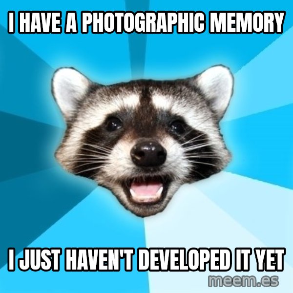 Lame Pun Coon meme: I have a photographic memory / I just haven't developed it yet
