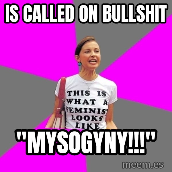 Feminist Cunt meme: is called on bullshit / "MYSOGYNY!!!"