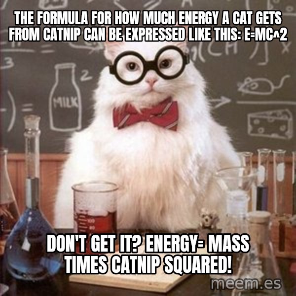 Chemistry Cat meme: The formula for how much energy a cat gets from catnip can be expressed like this: E=MC^2 / Don't get it? Energy= mass times catnip squared!