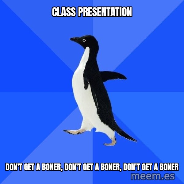 Socially Awkward Penguin meme: CLASS PRESENTATION / DON'T GET A BONER, DON'T GET A BONER, DON'T GET A BONER