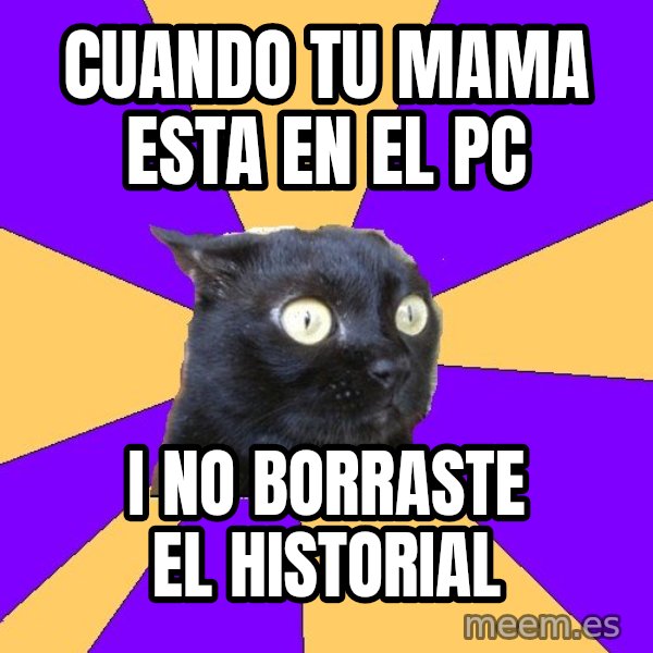 Anxiety Cat meme: cuando tu mama esta en el pc / i no borraste el historial
