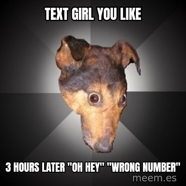 Depression Dog meme: text girl you like / 3 hours later "oh hey" "wrong number"