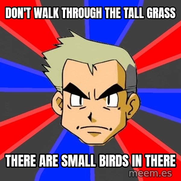 Professor Oak meme: DON'T WALK THROUgh the tall grass / there are small birds in there