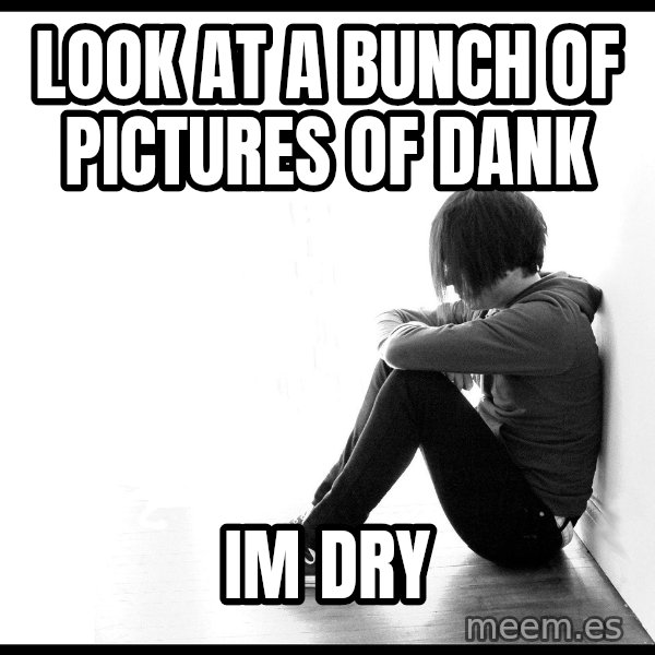 First World Problems meme: Look at a bunch of pictures of Dank / im dry