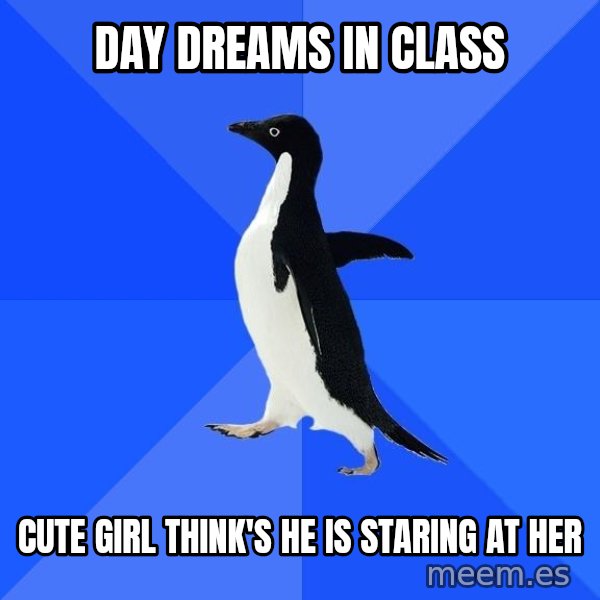 Socially Awkward Penguin meme: day dreams in class / cute girl think's he is staring at her