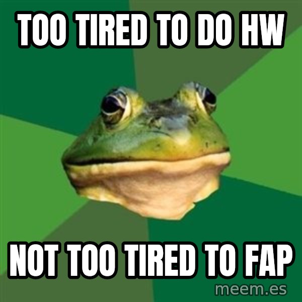 Foul Bachelor Frog meme: too tired to do hw / not too tired to fap