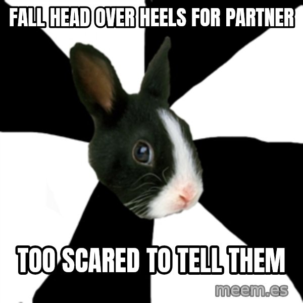 Roleplaying Rabbit meme: Fall head over heels for partner / Too scared to tell them