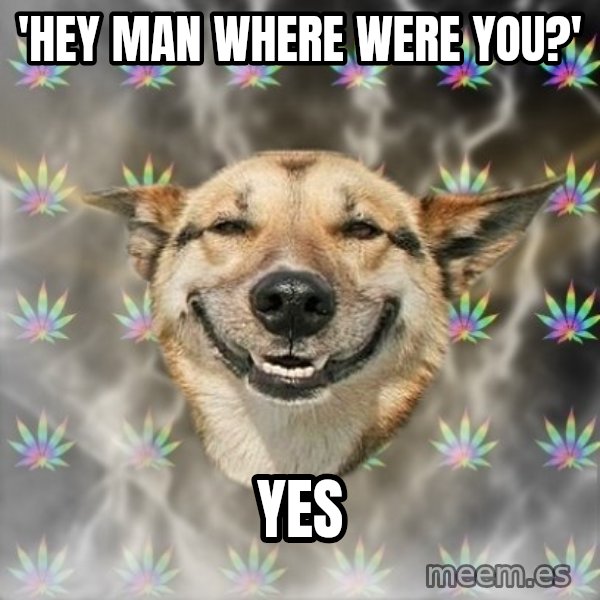 Stoner Dog meme: 'Hey man where were you?' / Yes