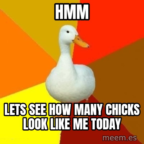 Technologically Impaired Duck meme: Hmm / lets see how many chicks look like me today