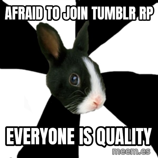 Roleplaying Rabbit meme: afraid to join tumblr rp / everyone is quality