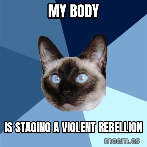 Chronic Illness Cat meme: my body / is staging a violent rebellion