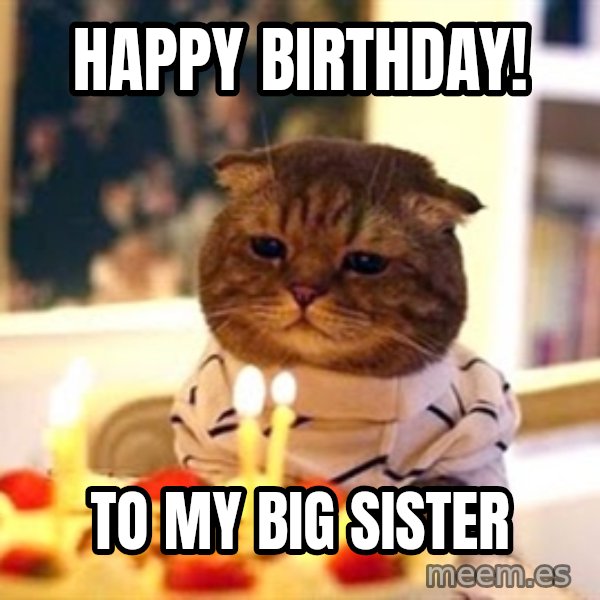 Birthday Cat meme: Happy Birthday! / To my big sister
