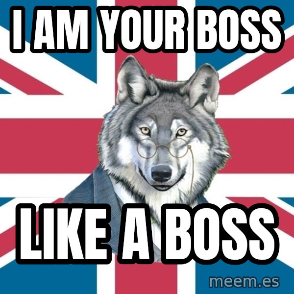Sir Courage Wolf Esquire meme: I am your boss / like a boss