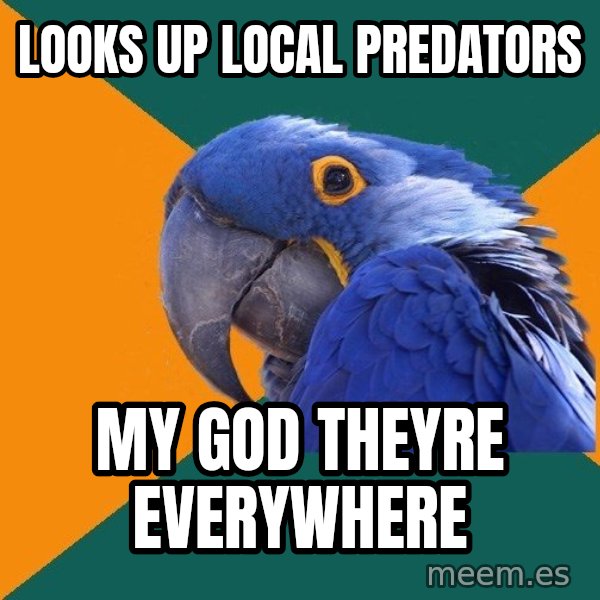 Paranoid Parrot meme: Looks up local predators / my god theyre everywhere