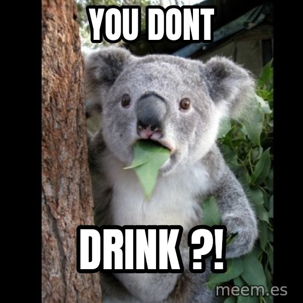 Koala can't believe it meme: you dont / drink ?!