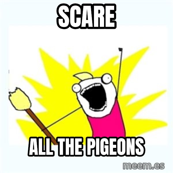 All the things meme: scare / all the pigeons