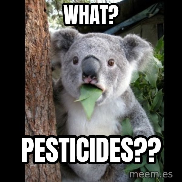 Koala can't believe it meme: What? / Pesticides??