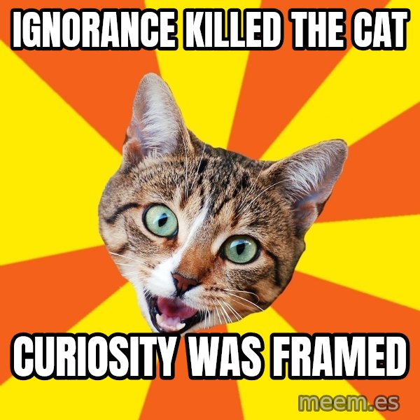 Bad Advice Cat meme: Ignorance killed the cat / Curiosity was framed