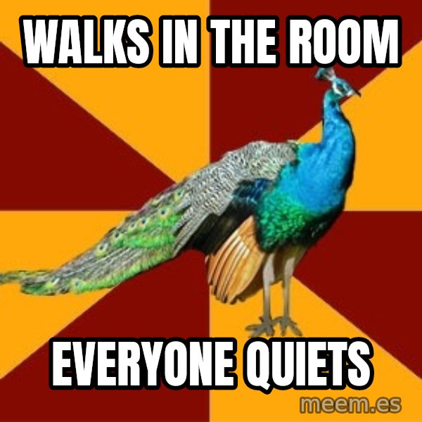 Thespian Peacock meme: walks in the room / everyone quiets