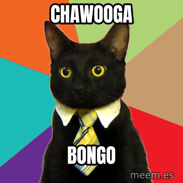 Business Cat meme: Chawooga / BONGO