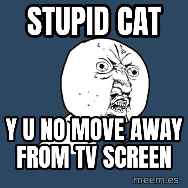 Y U No meme: stupid cat / y u no move away from tv screen
