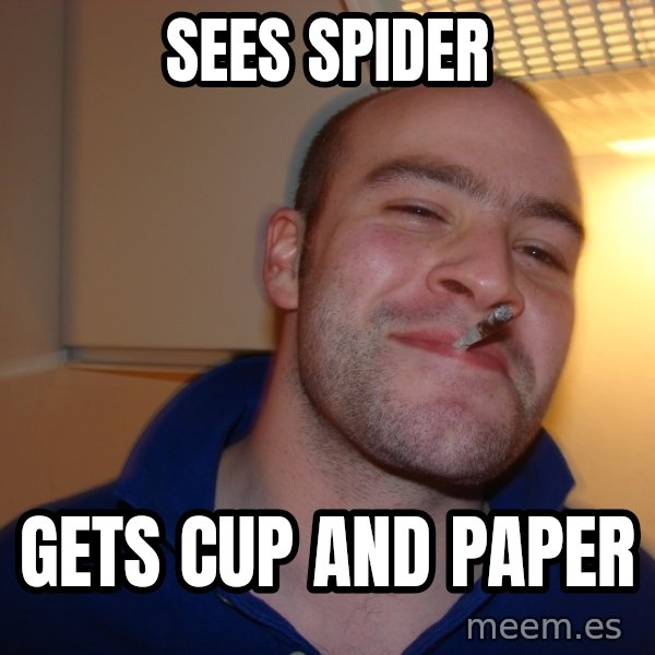 Good Guy Greg meme: sees spider / gets cup and paper