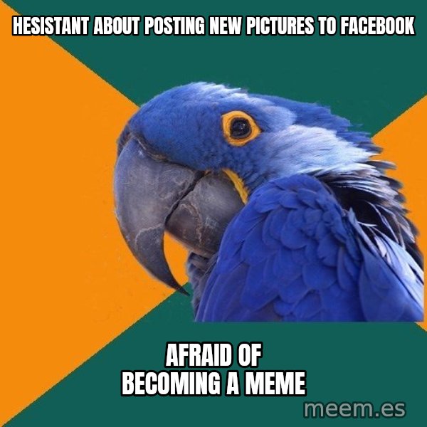 Paranoid Parrot meme: HESISTANT ABOUT POSTING NEW PICTURES TO FACEBOOK / AFRAID OF BECOMING A MEME